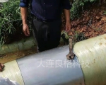板式修补器-不锈钢管道快速修补器