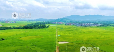 峡江县：高标准农田建设 助力粮食丰产丰收（图）